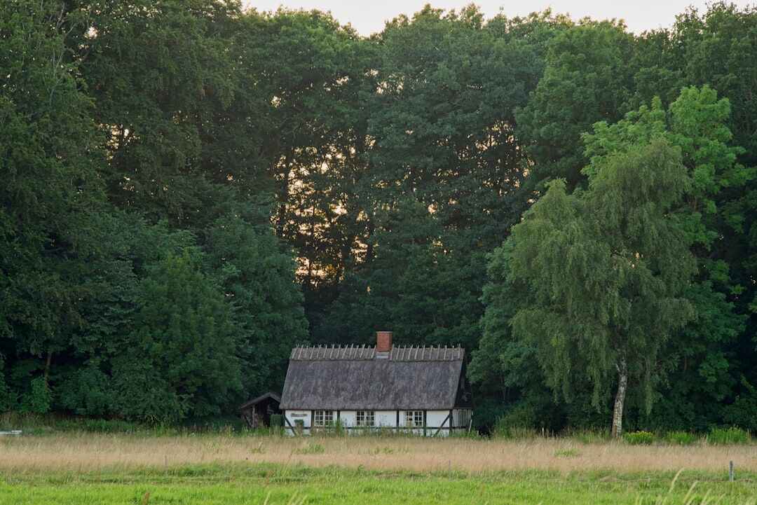 danish rural landscape