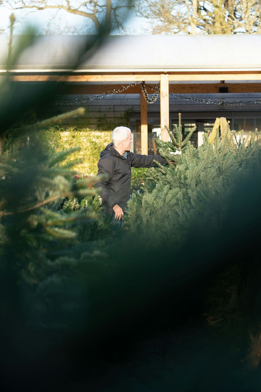elderly gardener tending plants