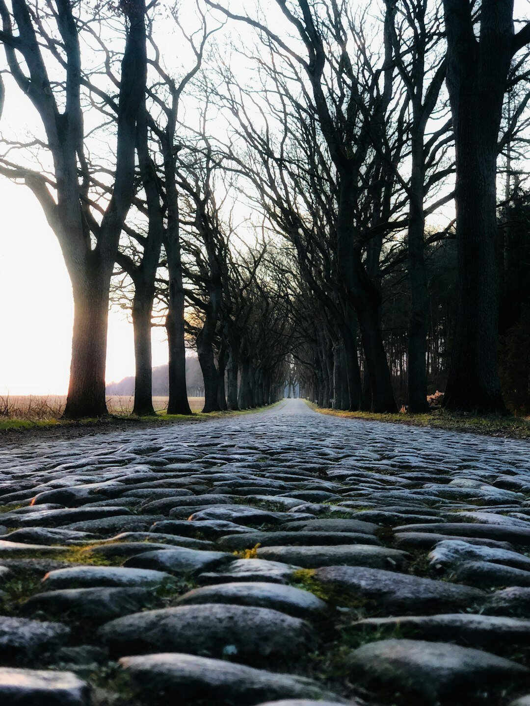 old cobblestone street